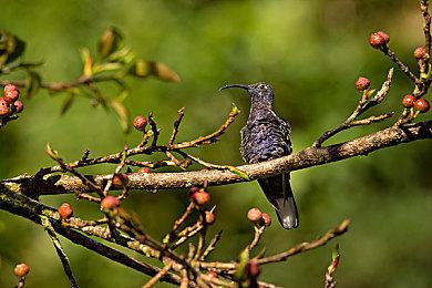 《勇者斗恶龙1&2 HD-2D重制版》新预告 新增内容展示